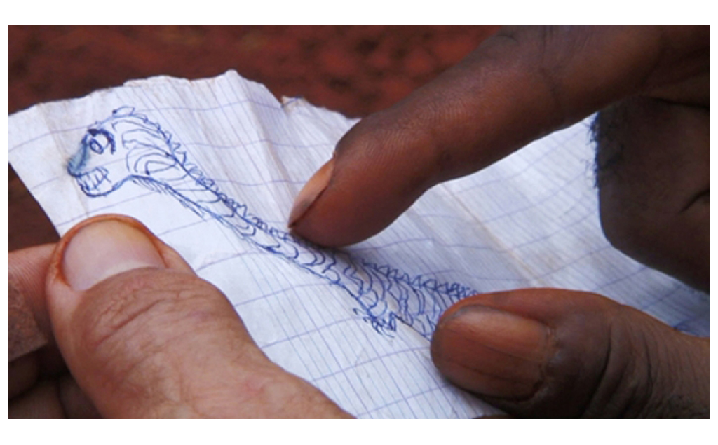 The Mokele-Mbembe Hypothesis de Marie Voignier (2011) - Unifrance